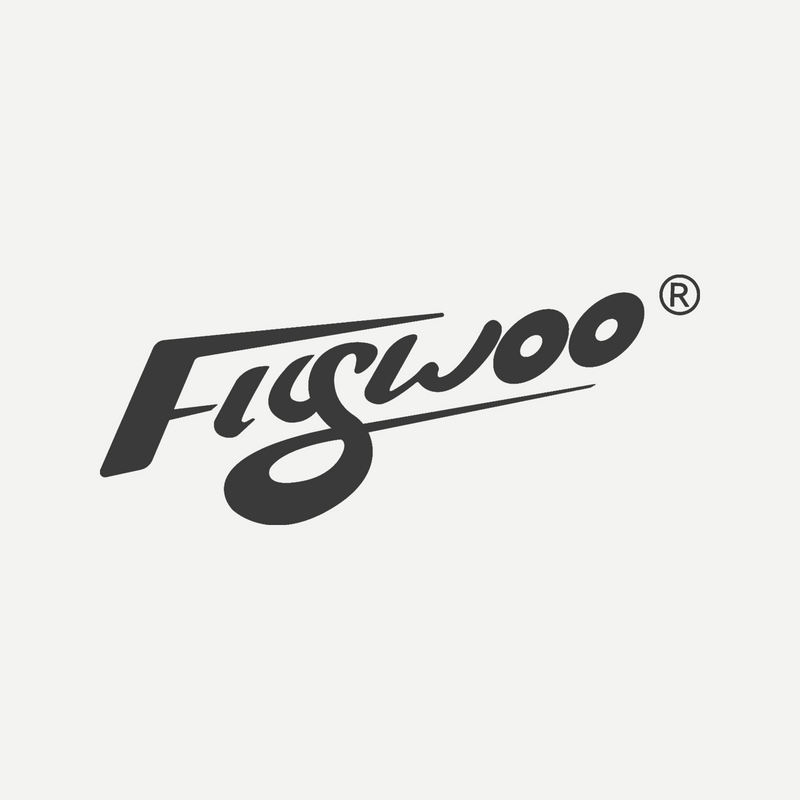 FLYWOO 品牌標誌
