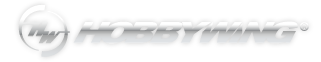 HOBBYWING 官方品牌標誌