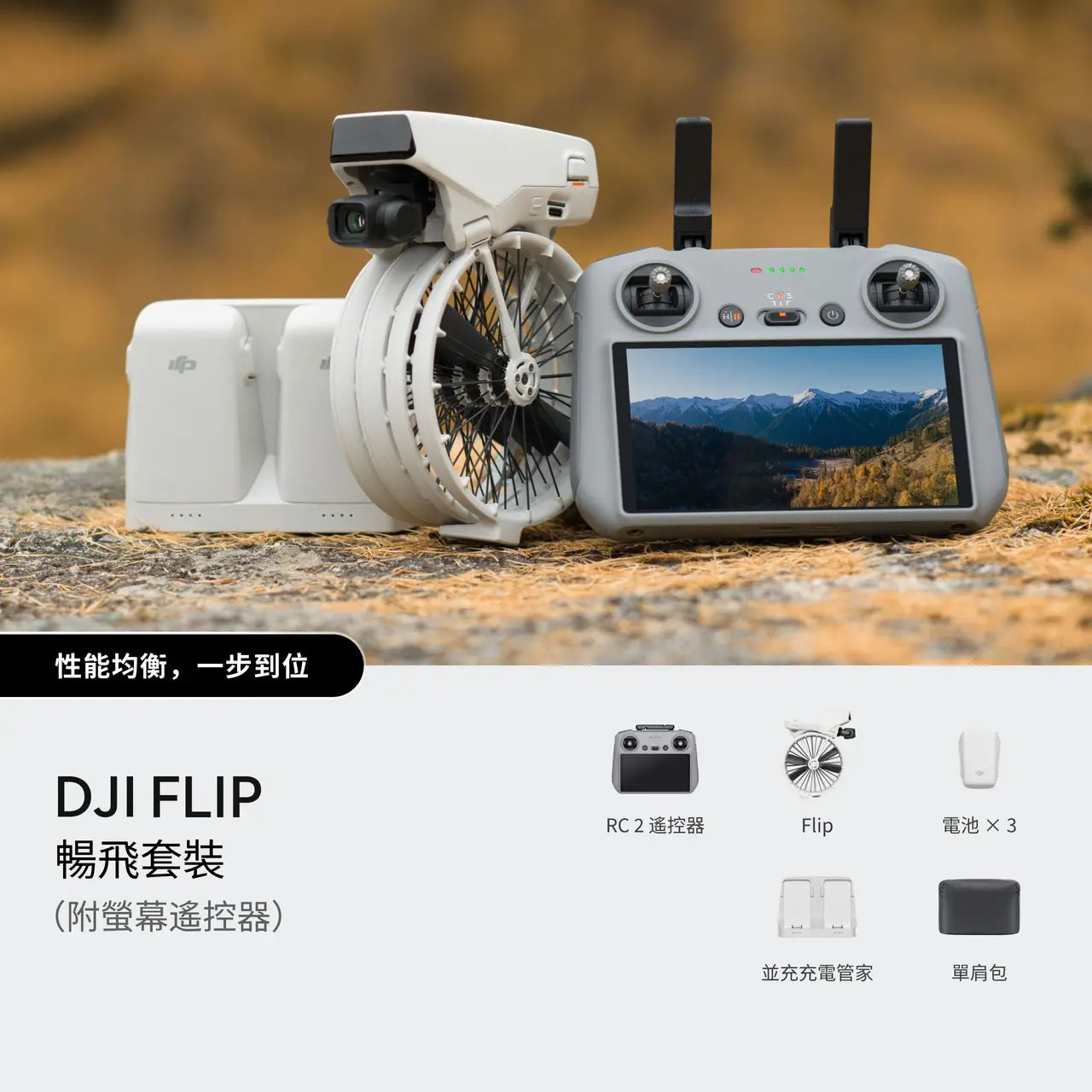 DJI Flip