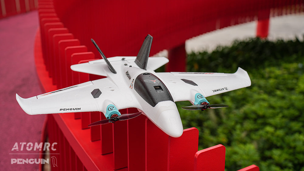 ATOMRC Penguin Fixed Wing