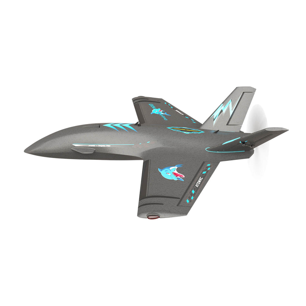 Atomrc Dolphin Pro FPV Flight 800mm Wingspan Fixed Wing